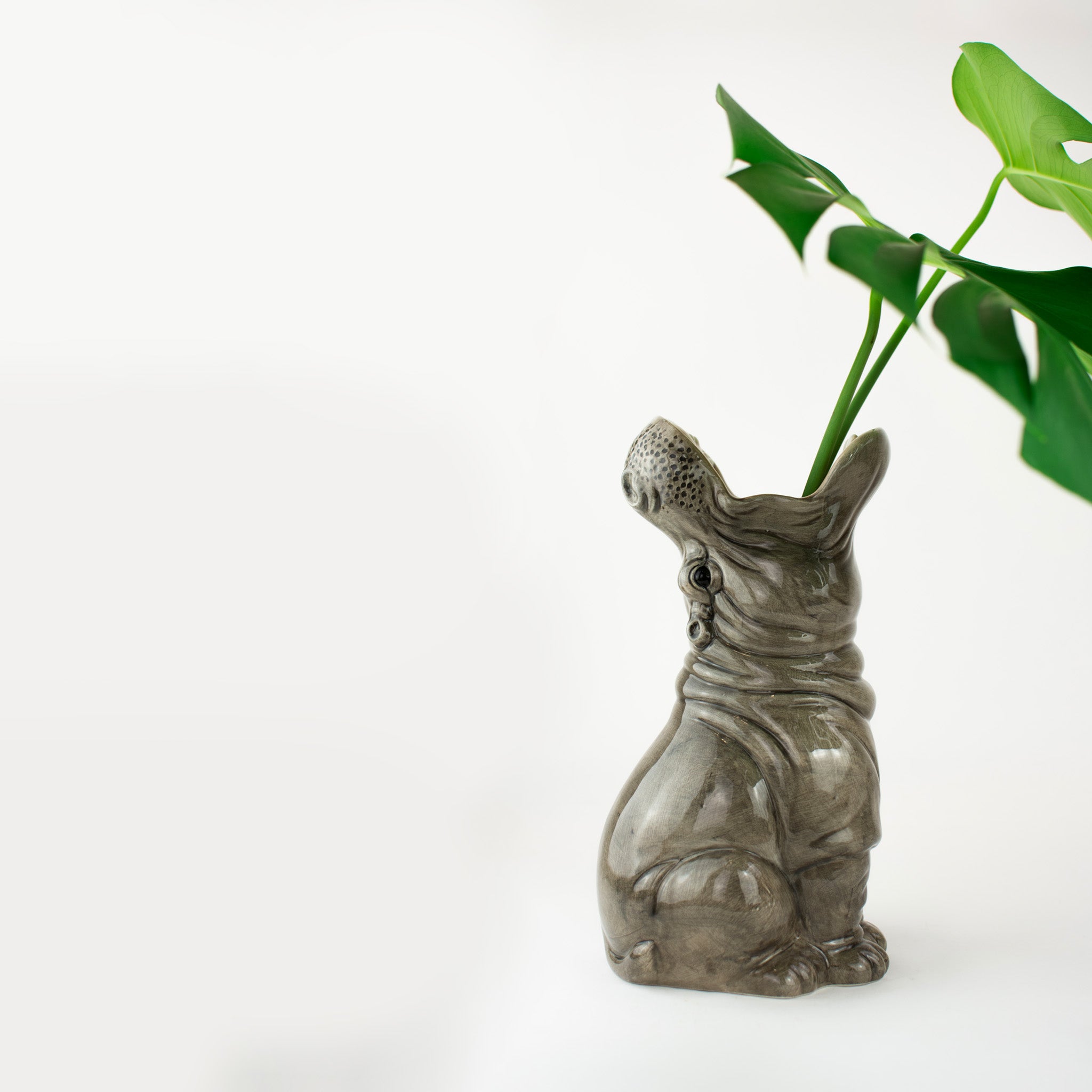 Hungry Hippos Vase mit Blume im Maul