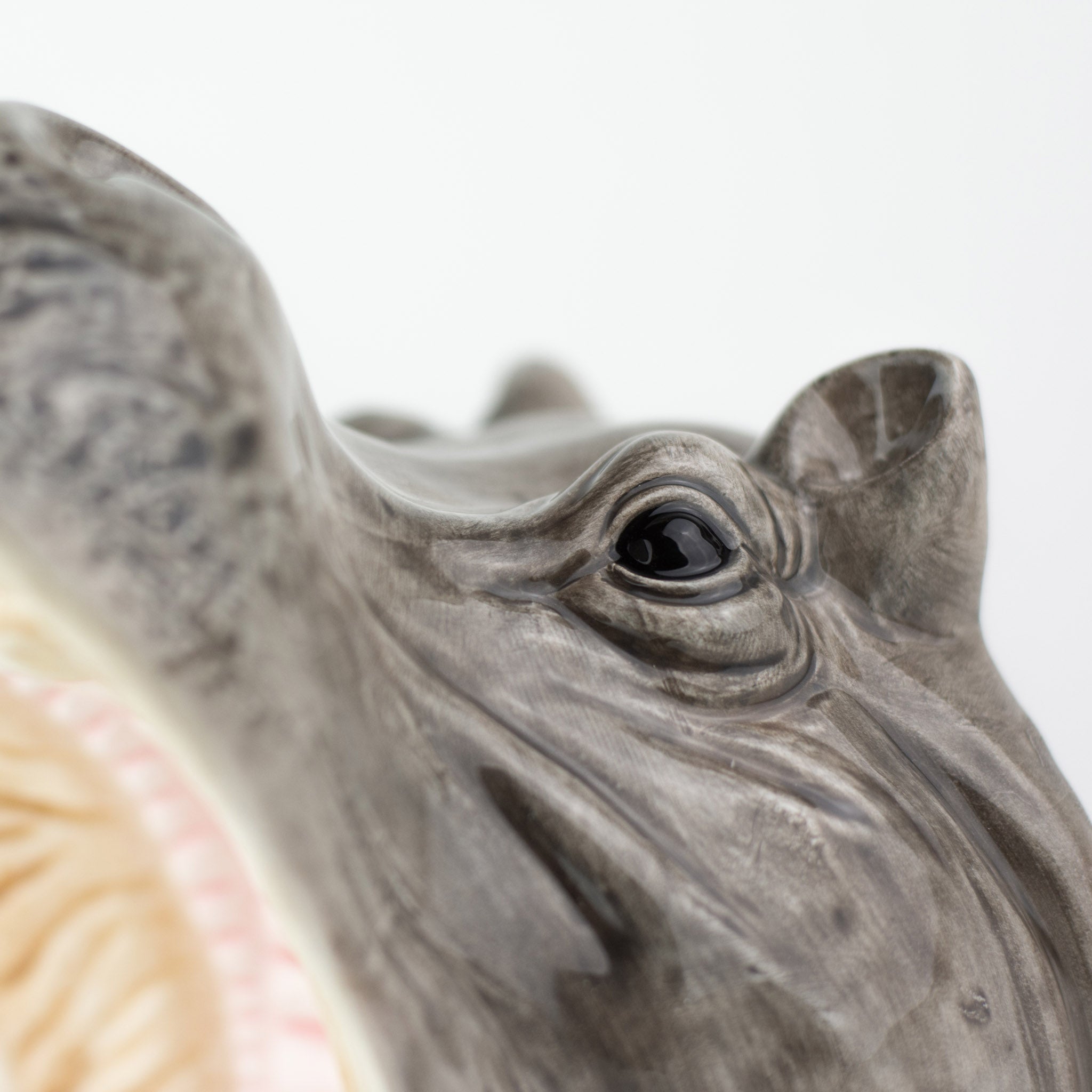 Detailansicht Hungry Hippo Bowl