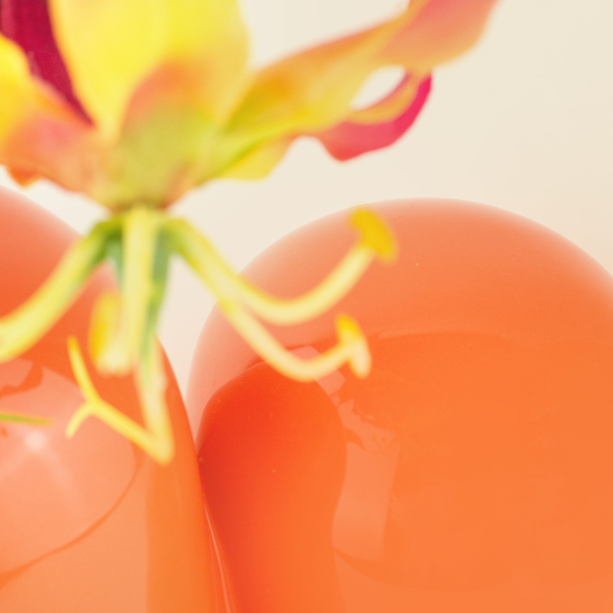 Vase "Sulcus" aus der Arts of Parts Kollektion