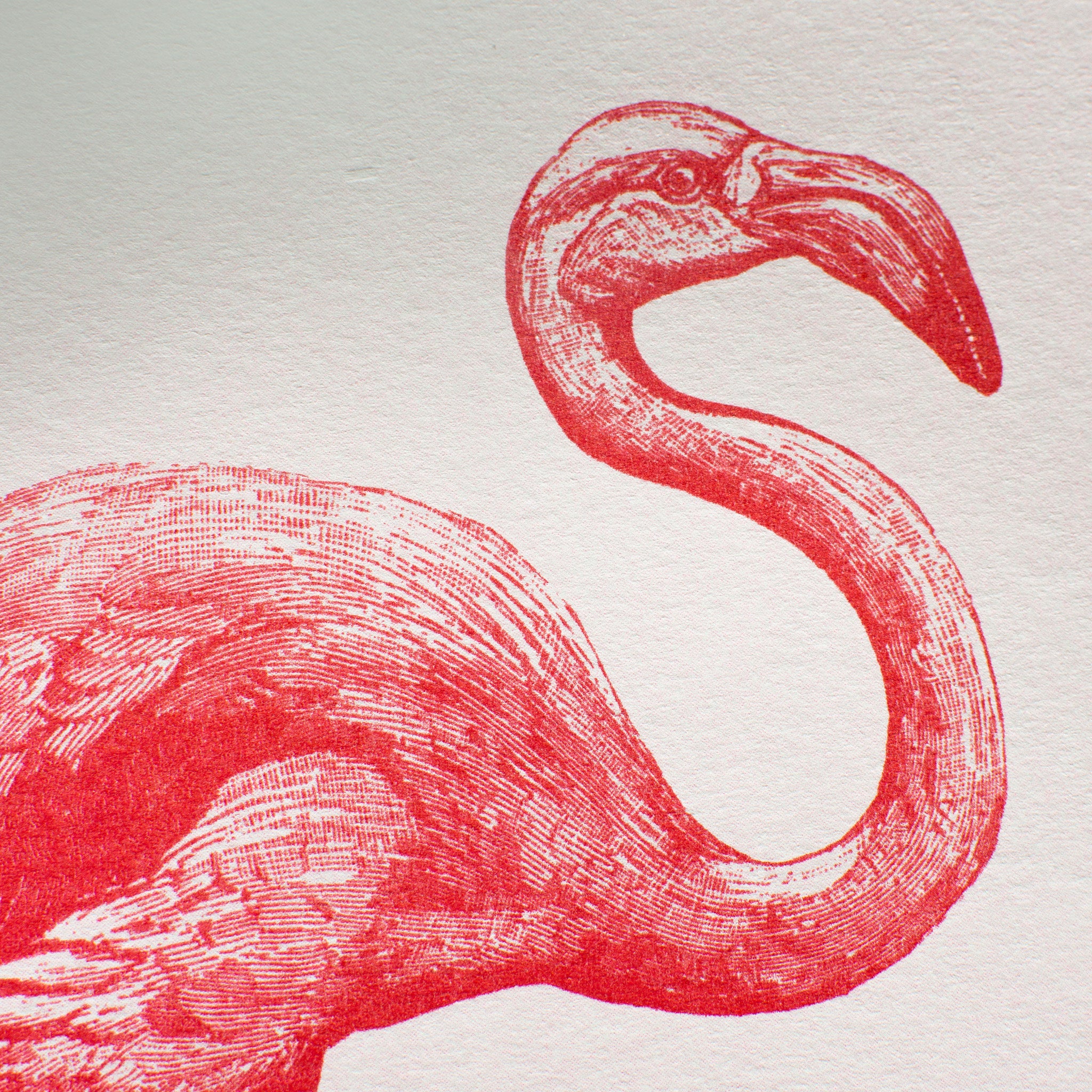 Risographie Artprint Flamingo