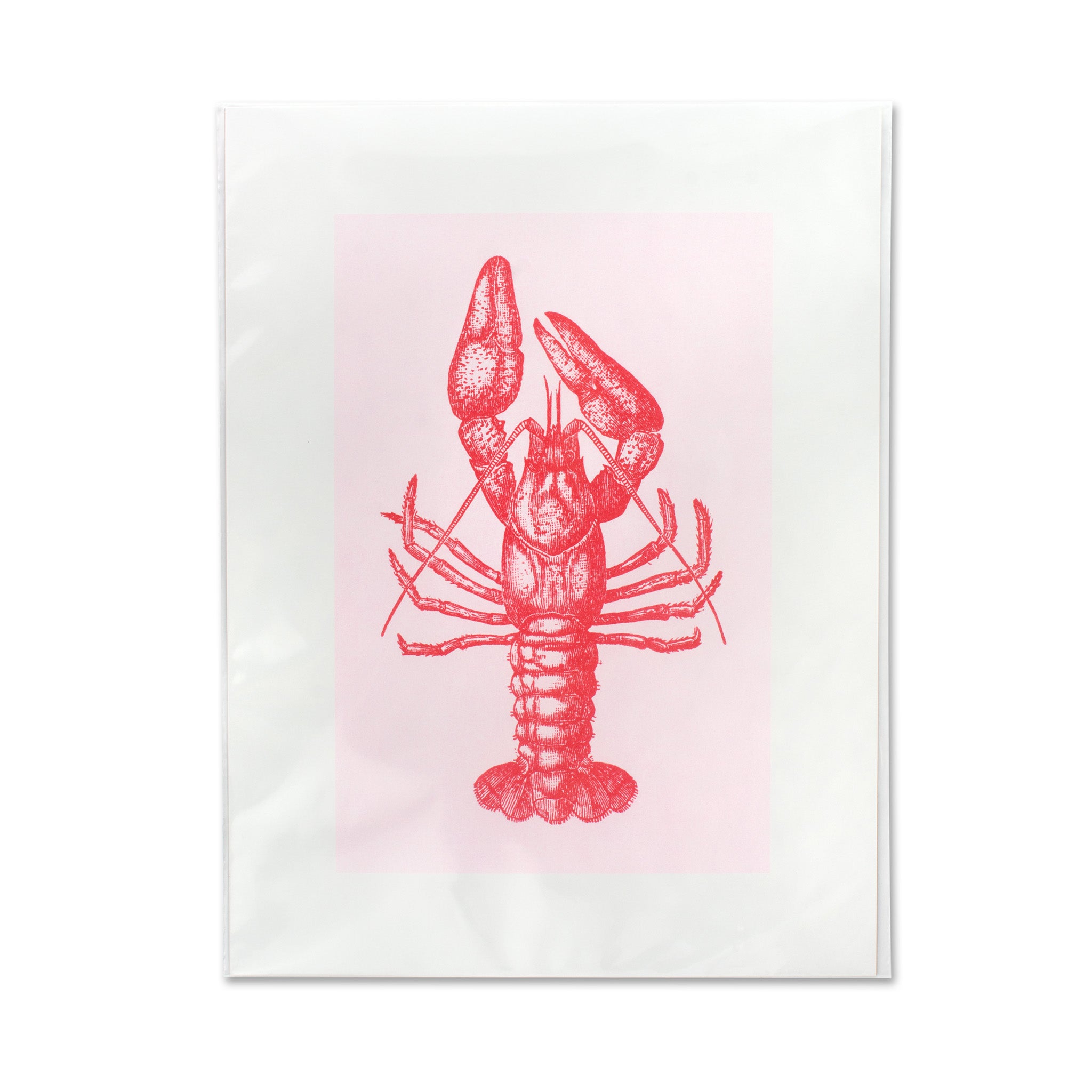 Risographie Artprint Lobster