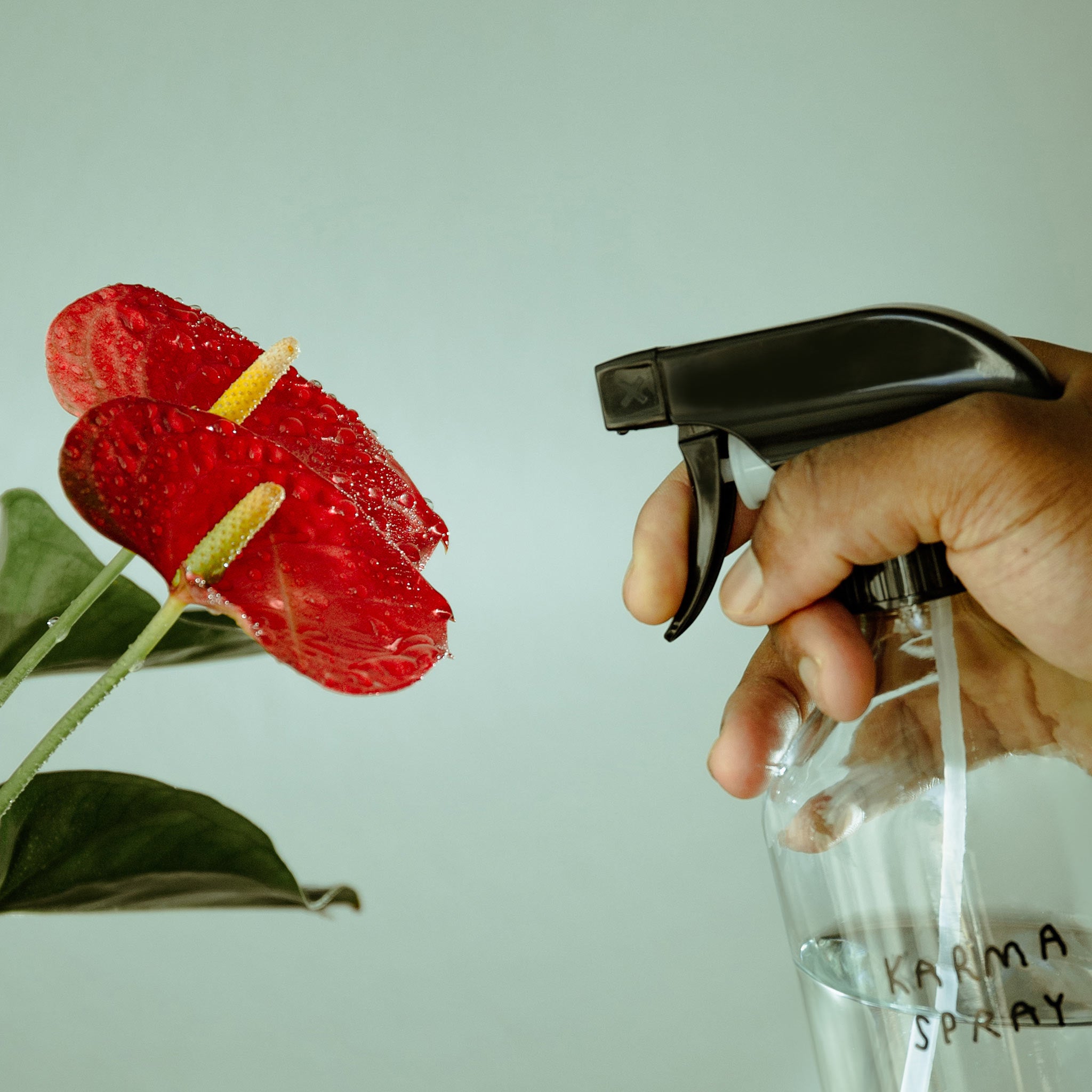 Sprühflasche "Karma Spray" aus der Cozy Home Collection by Johanna Schwarzer x Donkey