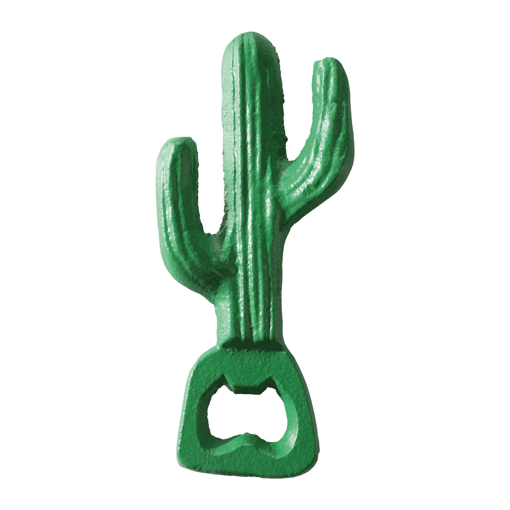 Tropical Garden Caribbean Cactus