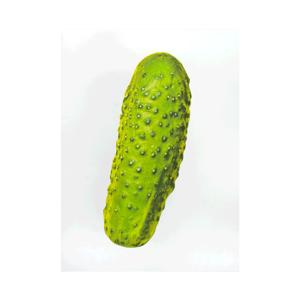 Risographie Artprint Pickle